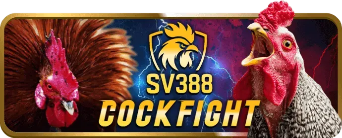 Hình ảnh các chương trình khuyến mãi và ưu đãi go88 cổng game